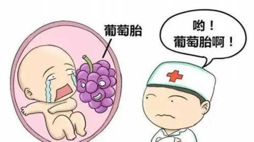 广州代生小孩费用,【广州有供卵医院吗？供卵试管婴儿的成功率高吗】7.8号排