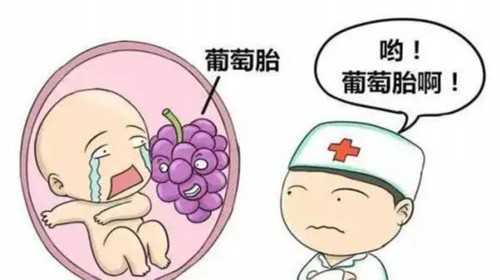广州华诚试管助孕,广州供卵医院就到十月幸孕助孕_有代孕套餐吗