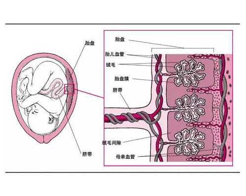广州供卵哪里便宜,试管婴儿准妈妈孕期腹痛勿慌张-上海供卵试管案例_张磊广州