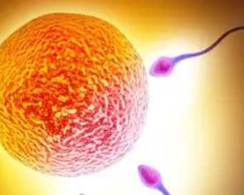 广州代孕公司选择与精子活力低试管婴儿的成功率