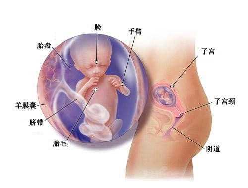香港做试管不用结婚证：代孕紧张有什么症状