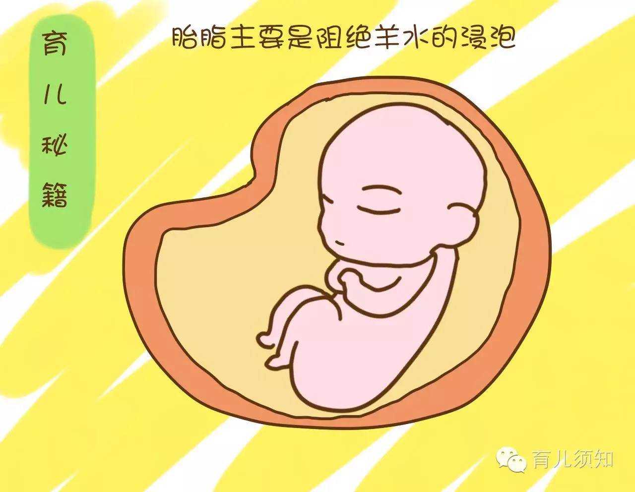 深圳供卵试管中心排行_网站公开招聘代孕母亲