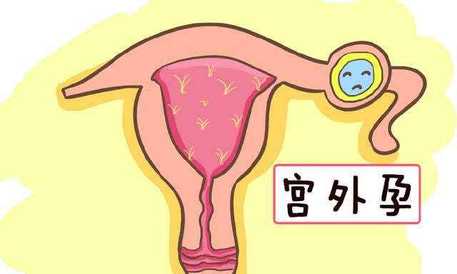广州供卵试管婴儿 在广州中山六院生殖科做供卵试管费用大概是多少？ ‘b超如
