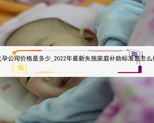 广州代孕公司价格是多少_2022年最新失独家庭补助标准是怎么样的？