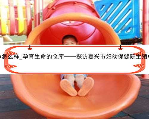 广州提供代怀孕怎么样_孕育生命的仓库——探访嘉兴市妇幼保健院生殖中心实
