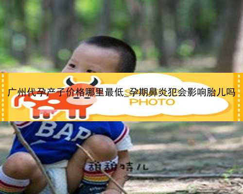广州代孕产子价格哪里最低_孕期鼻炎犯会影响胎儿吗