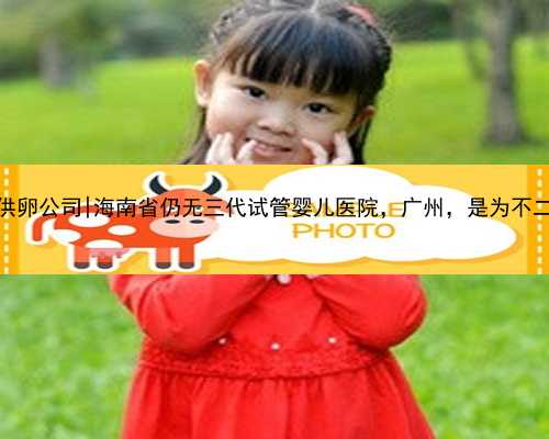 广州供卵公司|海南省仍无三代试管婴儿医院，广州，是为不二选择