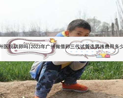 广州医院供卵吗|2023年广州做借卵三代试管选男孩费用多少？